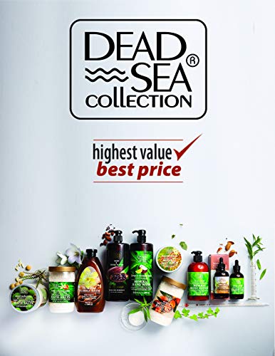 Dead Sea Shop 7