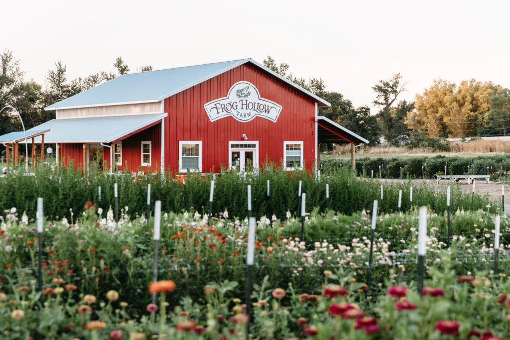 Frog Hollow Farm 2
