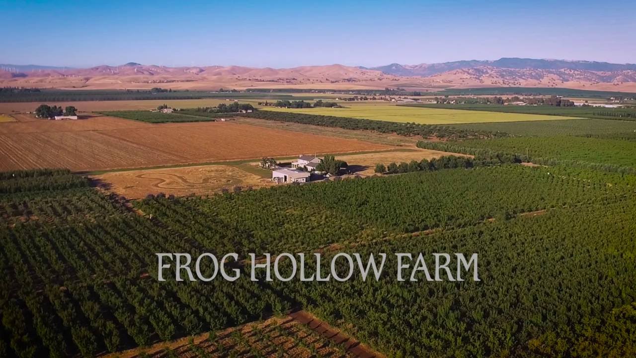 Frog Hollow Farm 3