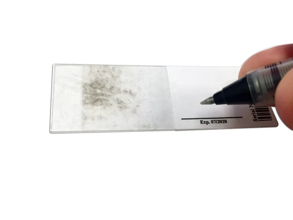 DIY MOLD TEST 3