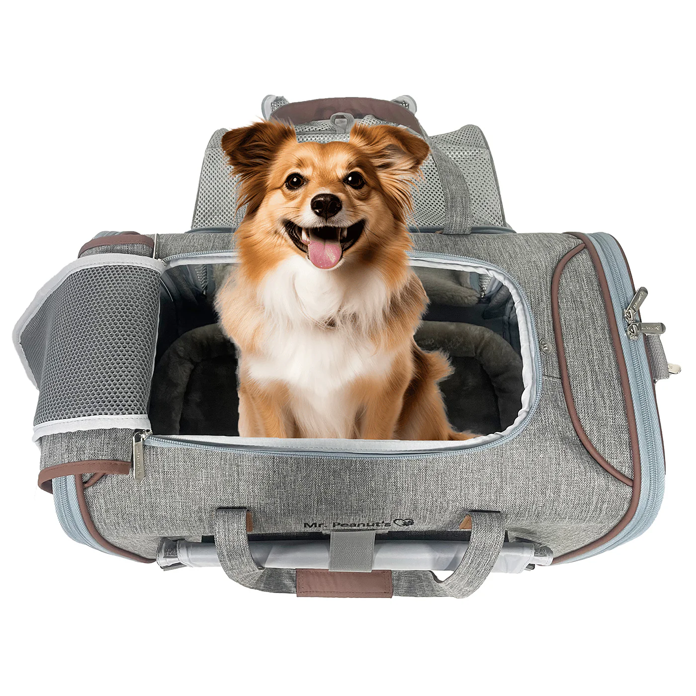 Mr. Peanut's Pet Carriers 2
