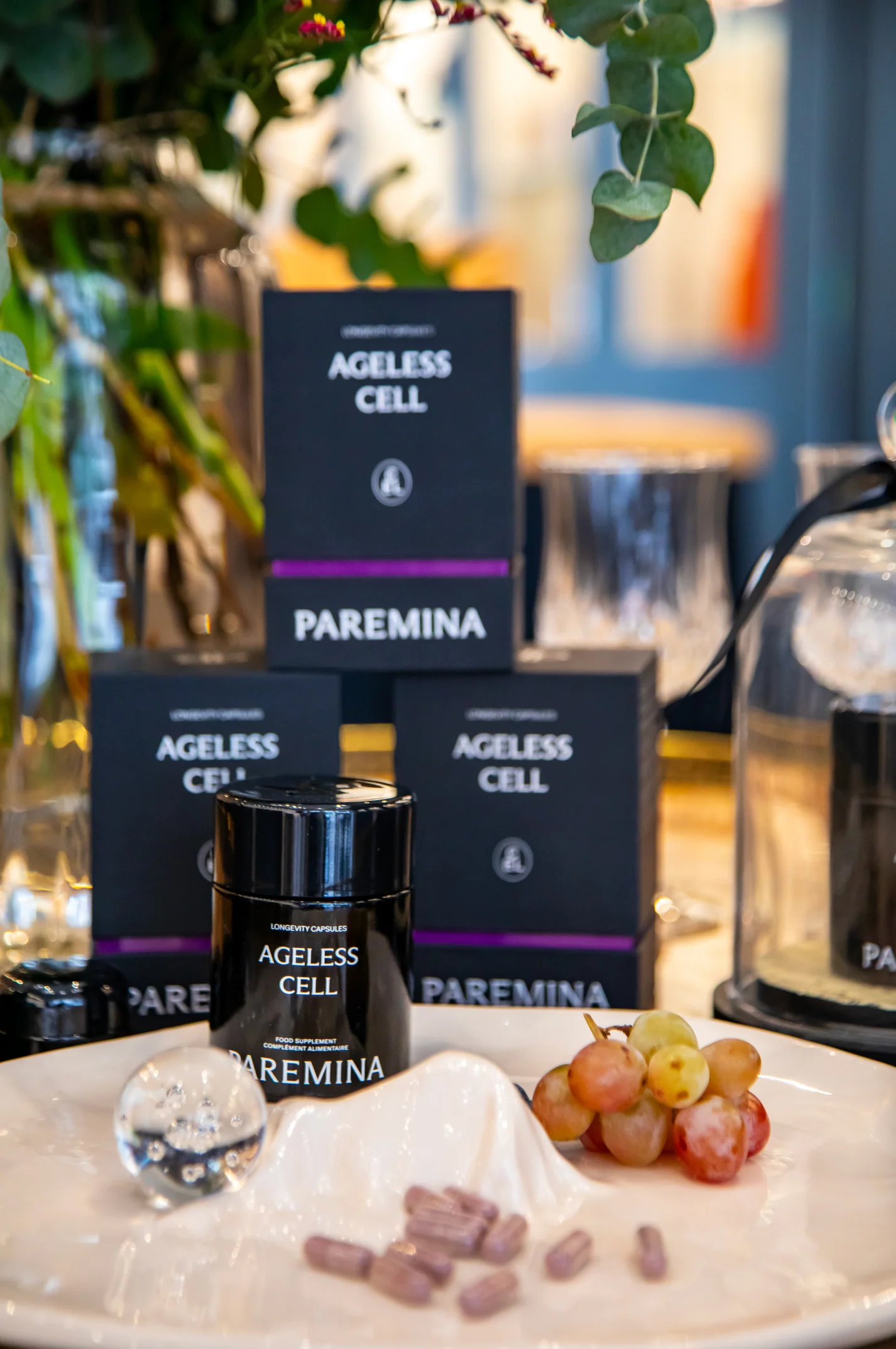 PAREMINA 2