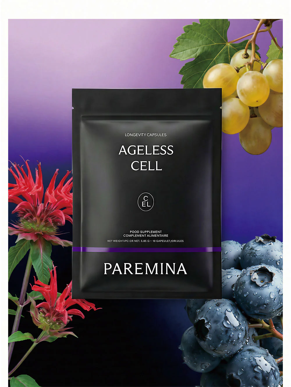 PAREMINA 3