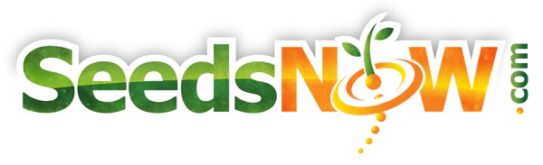 SeedsNOW.com