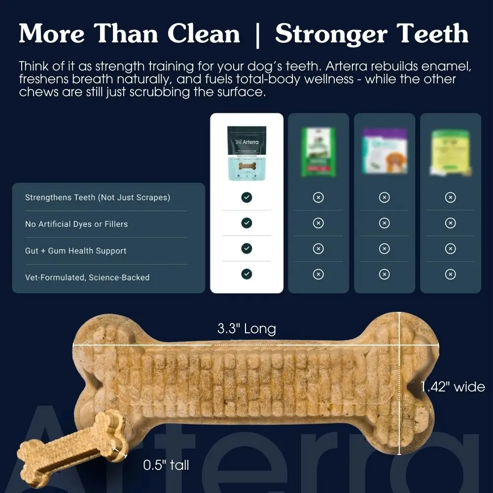 Arterra Pet 2